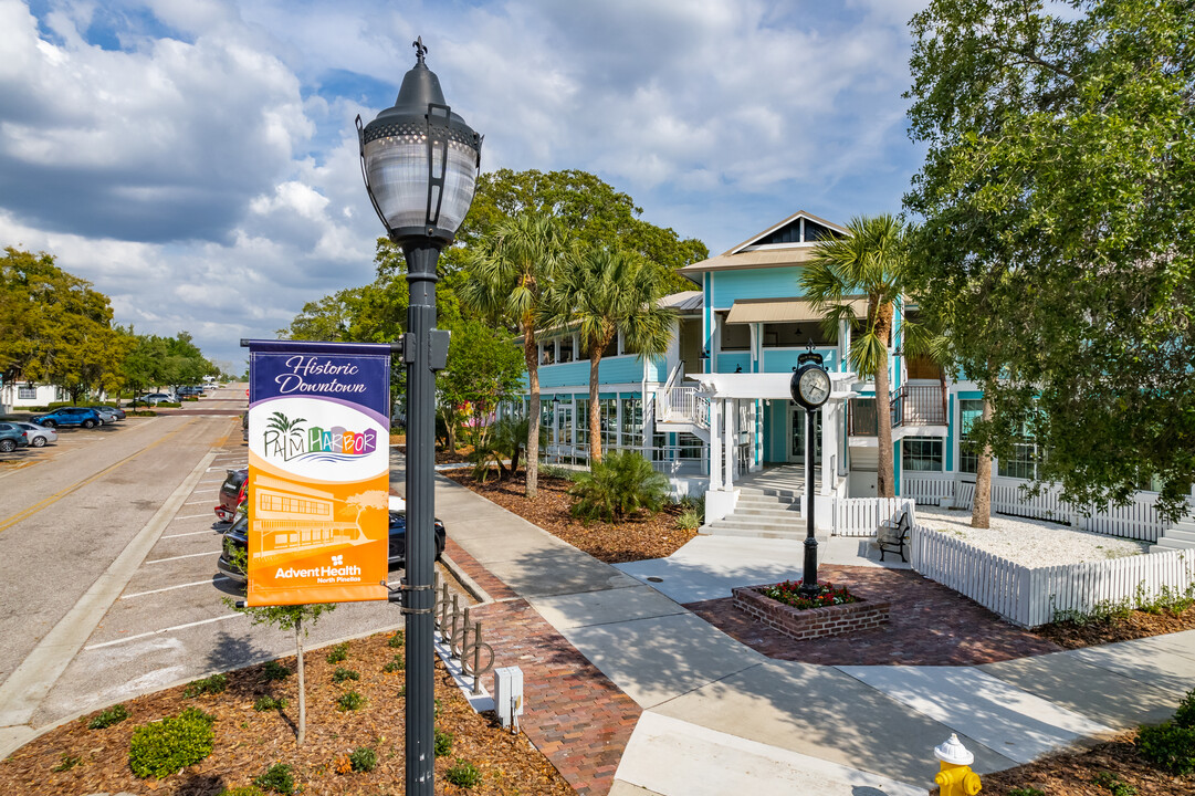 palm-harbor-fl-3.jpg